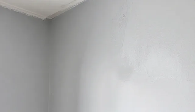 常见问题：能力建设在应用场景中的关键作用